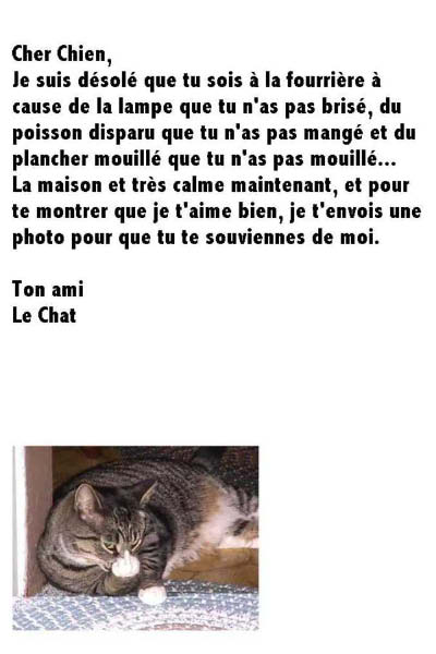 Chien et chat 002-humourenvrac